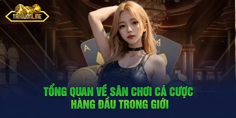 Đánh giá công tâm về sân chơi Tài Xỉu Đánh giá công tâm về sân chơi Tài Xỉu